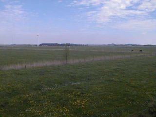 Ausblick aus Fewo Muschel