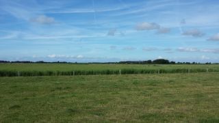 Ausblick Fewo Seestern aussen